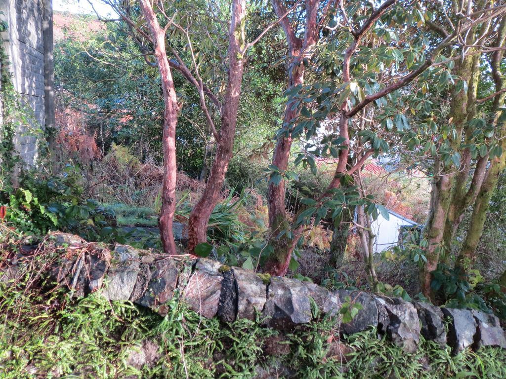 Elmbank Garden Apartment Oban Pokoj fotografie